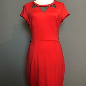 Women’s Dress Size 8